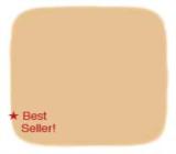 Noevir - N5 Treatment 2-way Foundation Lx Nb 04