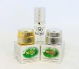 Feiya Whitening Cream Set